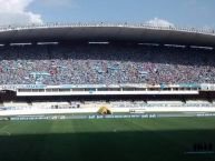 Foto: Barra: Alma Celeste • Club: Paysandu • País: Brasil