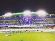 Foto: Barra: Alma Celeste • Club: Paysandu