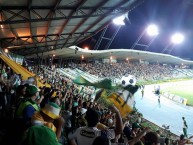 Foto: "Hinchada en Semifinal Vs Real Santander" Barra: Artillería Verde Sur • Club: Deportes Quindío