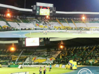 Foto: "Vs Deportivo Pereira" Barra: Artillería Verde Sur • Club: Deportes Quindío • País: Colombia