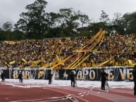 Foto: Barra: Avalancha Sur • Club: Deportivo Táchira • País: Venezuela