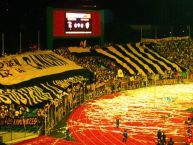 Foto: Barra: Avalancha Sur • Club: Deportivo Táchira