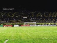 Foto: Barra: Avalancha Sur • Club: Deportivo Táchira