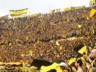 Foto: Barra: Barra Amsterdam • Club: Peñarol • País: Uruguay