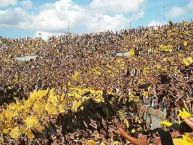 Foto: Barra: Barra Amsterdam • Club: Peñarol