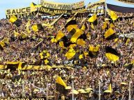 Foto: Barra: Barra Amsterdam • Club: Peñarol