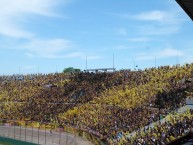 Foto: Barra: Barra Amsterdam • Club: Peñarol