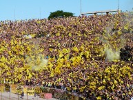 Foto: Barra: Barra Amsterdam • Club: Peñarol • País: Uruguay