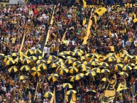 Foto: Barra: Barra Amsterdam • Club: Peñarol