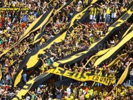 Foto: Barra: Barra Amsterdam • Club: Peñarol