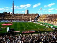 Foto: Barra: Barra Amsterdam • Club: Peñarol