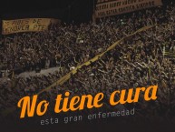 Foto: Barra: Barra Amsterdam • Club: Peñarol