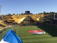 Foto: "Vs Nacional 12/05/2019" Barra: Barra Amsterdam • Club: Peñarol • País: Uruguay