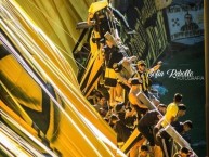 Foto: Barra: Barra Amsterdam • Club: Peñarol