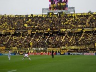 Foto: Barra: Barra Amsterdam • Club: Peñarol