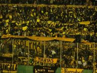 Foto: Barra: Barra Amsterdam • Club: Peñarol