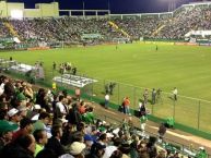 Foto: Barra: Barra da Chape • Club: Chapecoense