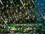 Foto: "Semi-final Copa Sudamericana 2016" Barra: Barra da Chape • Club: Chapecoense