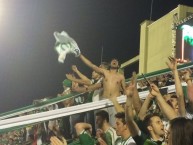 Foto: "Semi-final Copa Sudamericana 2016" Barra: Barra da Chape • Club: Chapecoense