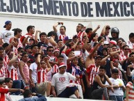 Foto: Barra: Barra Insurgencia • Club: Chivas Guadalajara