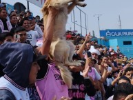 Foto: "De visitante o local" Barra: Barra Popular Juventud Rosada • Club: Sport Boys • País: Peru