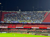 Foto: "En Morumbi vs São Paulo" Barra: Blue Rain &bull; Club: Millonarios &bull; País: Colombia