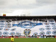 Foto: Barra: Blue Rain • Club: Millonarios