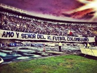 Foto: Barra: Blue Rain • Club: Millonarios