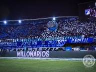 Foto: Barra: Comandos Azules • Club: Millonarios • País: Colombia