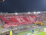 Foto: Barra: Disturbio Rojo Bogotá • Club: América de Cáli • País: Colombia