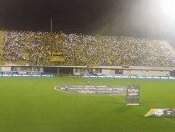 Foto: "Salida vs pasto en los cuadrangulares" Barra: Dominio Aurinegro • Club: Alianza Petrolera • País: Colombia