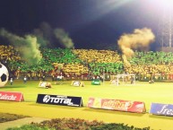 Foto: Barra: Fortaleza Leoparda Sur • Club: Atlético Bucaramanga