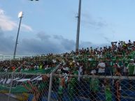 Foto: Barra: Frente Radical Verdiblanco • Club: Deportivo Cali