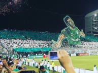 Foto: "Tifo de la hinchada del Cali en homenaje a Andrés Pérez - 24/02/2016" Barra: Frente Radical Verdiblanco • Club: Deportivo Cali • País: Colombia