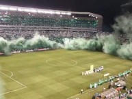 Foto: Barra: Frente Radical Verdiblanco • Club: Deportivo Cali