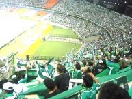 Foto: Barra: Frente Radical Verdiblanco • Club: Deportivo Cali • País: Colombia