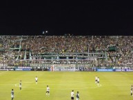 Foto: Barra: Frente Radical Verdiblanco • Club: Deportivo Cali • País: Colombia