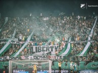 Foto: "vs América de Cali, 15/10/2023" Barra: Frente Radical Verdiblanco • Club: Deportivo Cali