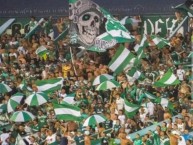 Foto: "Barra frente radical verdiblanco" Barra: Frente Radical Verdiblanco • Club: Deportivo Cali