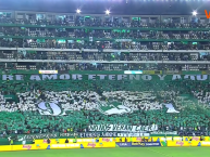 Foto: "Hinchada del Deportivo Cali vs Independiente Medellín" Barra: Frente Radical Verdiblanco • Club: Deportivo Cali • País: Colombia