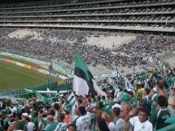 Foto: Barra: Frente Radical Verdiblanco • Club: Deportivo Cali • País: Colombia