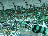 Foto: Barra: Frente Radical Verdiblanco • Club: Deportivo Cali