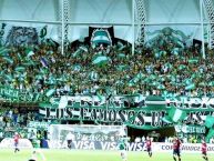 Foto: Barra: Frente Radical Verdiblanco • Club: Deportivo Cali • País: Colombia