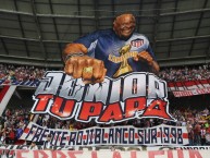 Foto: "final ida de la Superliga Colombia" Barra: Frente Rojiblanco Sur &bull; Club: Junior de Barranquilla