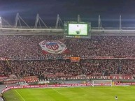 Foto: "Bloke Los 500 Masoquistas" Barra: Frente Rojiblanco Sur &bull; Club: Junior de Barranquilla