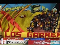 Foto: Barra: Garra Herediana • Club: Herediano