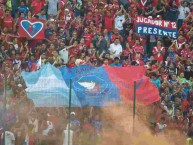 Foto: "trapo que el jugador Gabriel Peñalba nos regaló, se lo hicieron sus amigos de argentina." Barra: Guardia Roja • Club: Tiburones Rojos de Veracruz