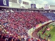 Foto: "invasión a Puebla" Barra: Guardia Roja • Club: Tiburones Rojos de Veracruz • País: México