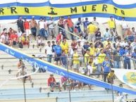 Foto: Barra: La Banda Cetácea y Perro Muerto • Club: Delfín SC