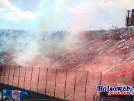 Foto: Barra: La Banda del Parque • Club: Nacional • País: Uruguay